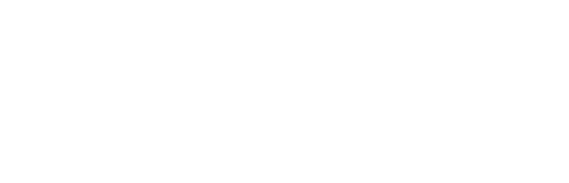 FRONTIER CONSULTING